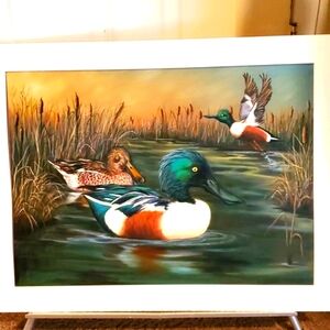 Origional Art Oil Painting!!  'Northern Shoveler' by artist
